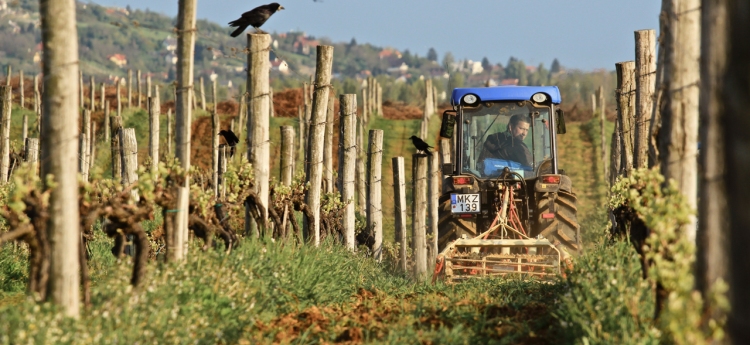 Soil cultivation in springtime