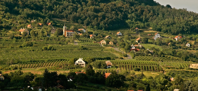 Two historical building on the south slopes of the hill: the Lengyel-kápolna and the Tarányi présház